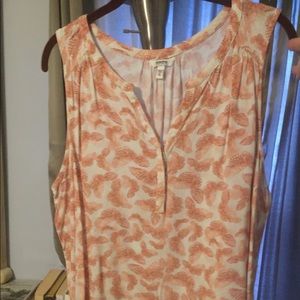 Sonoma butterflies top